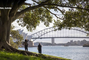 Excursão a pé pela comida e cultura australianas em Sydney (almoço e vinho)