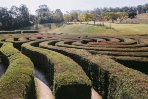 Herons Creek : billet d'entrée pour le labyrinthe de Bago