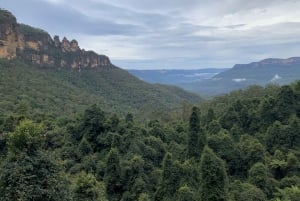 Beauty of the Blue Mountains Private Tour