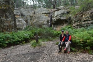 Full Day Guided Tour around the Blue Mountains