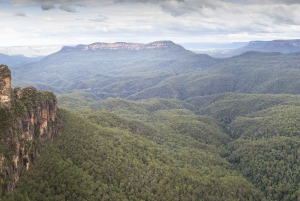 Desde Sydney: Excursión de un día a la Experiencia Aborigen de las Montañas Azules