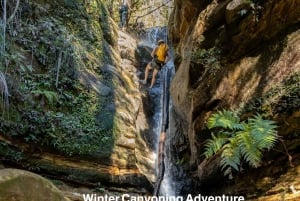 Blue Mountains: Abseiling and Canyoning Experience