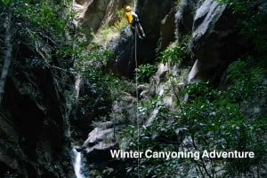 Blue Mountains: Abseiling and Canyoning Experience