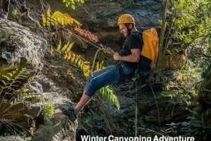 Blue Mountains: Abseiling and Canyoning Experience