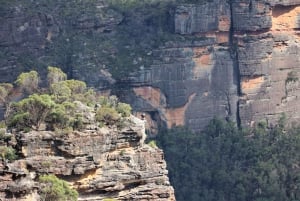Blue Mountains: Bespoke Private Day Tour from Sydney