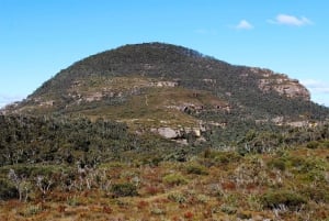 Blue Mountains: Bespoke Private Day Tour from Sydney