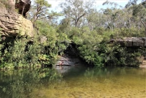 Blue Mountains: Bespoke Private Day Tour from Sydney