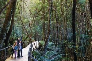 Visite d'une journée dans les montagnes Bleues - Featherdale et les Trois Sœurs (10 personnes maximum)