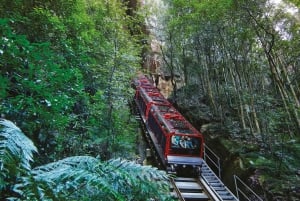 Visite d'une journée dans les montagnes Bleues - Featherdale et les Trois Sœurs (10 personnes maximum)