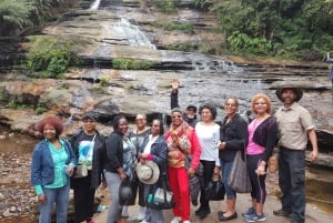 Blue Mountains dagstur lille gruppe fra Sydney