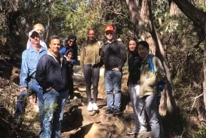 Blue Mountains dagstur lille gruppe fra Sydney