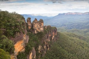 Blue Mountains dagstur lille gruppe fra Sydney