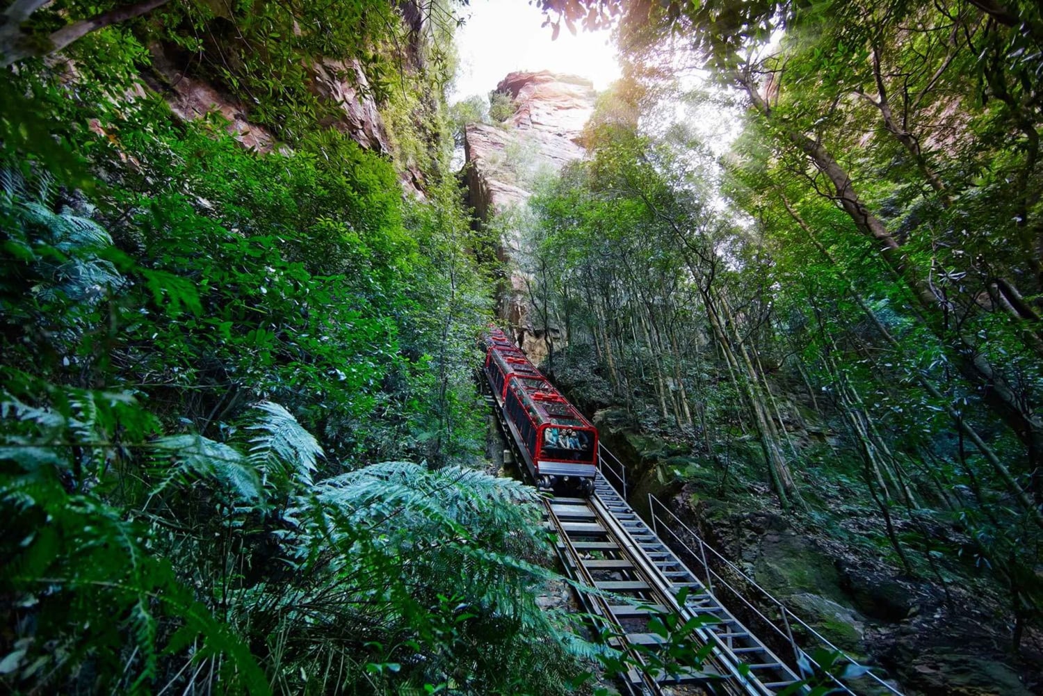 Tour di 1 giorno alle Blue Mountains con crociera, pass per Scenic World e zoo