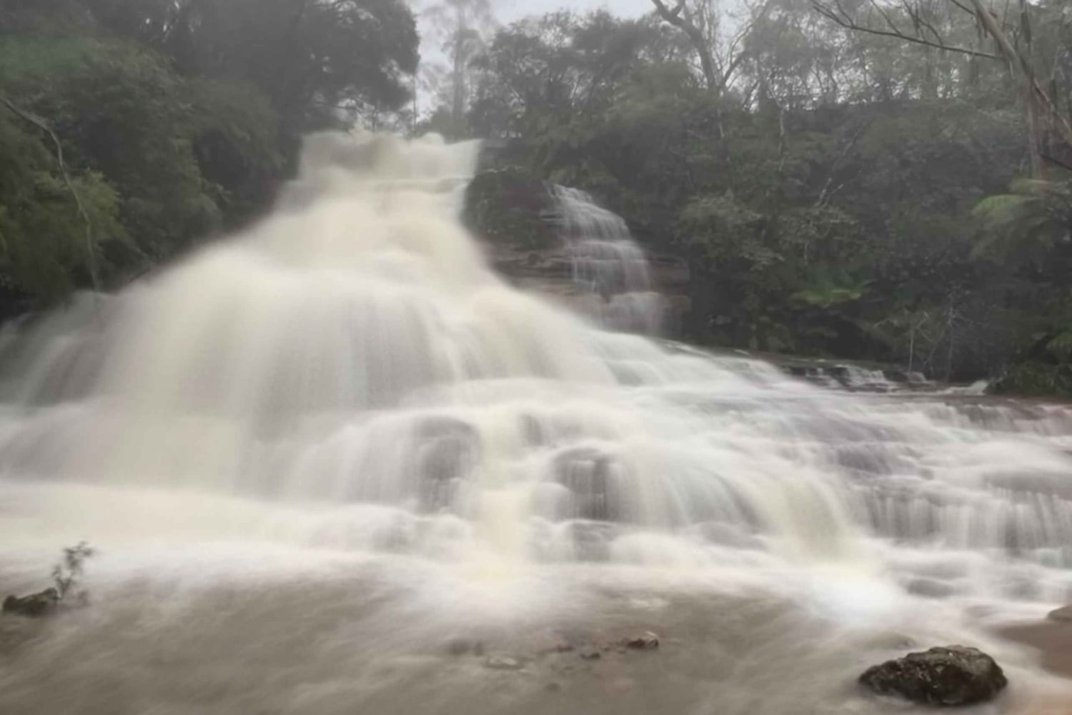 Tour di 1 giorno alle Blue Mountains con crociera, pass per Scenic World e zoo