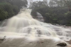 Tour di 1 giorno alle Blue Mountains con crociera, pass per Scenic World e zoo