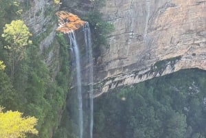 Blue Mountains: Tour guidato di un giorno intero con pranzo