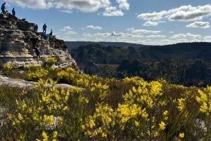 Blue Mountains: Tour guidato di un giorno intero con pranzo