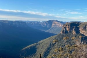 Blue Mountains: Tour guidato di un giorno intero con pranzo