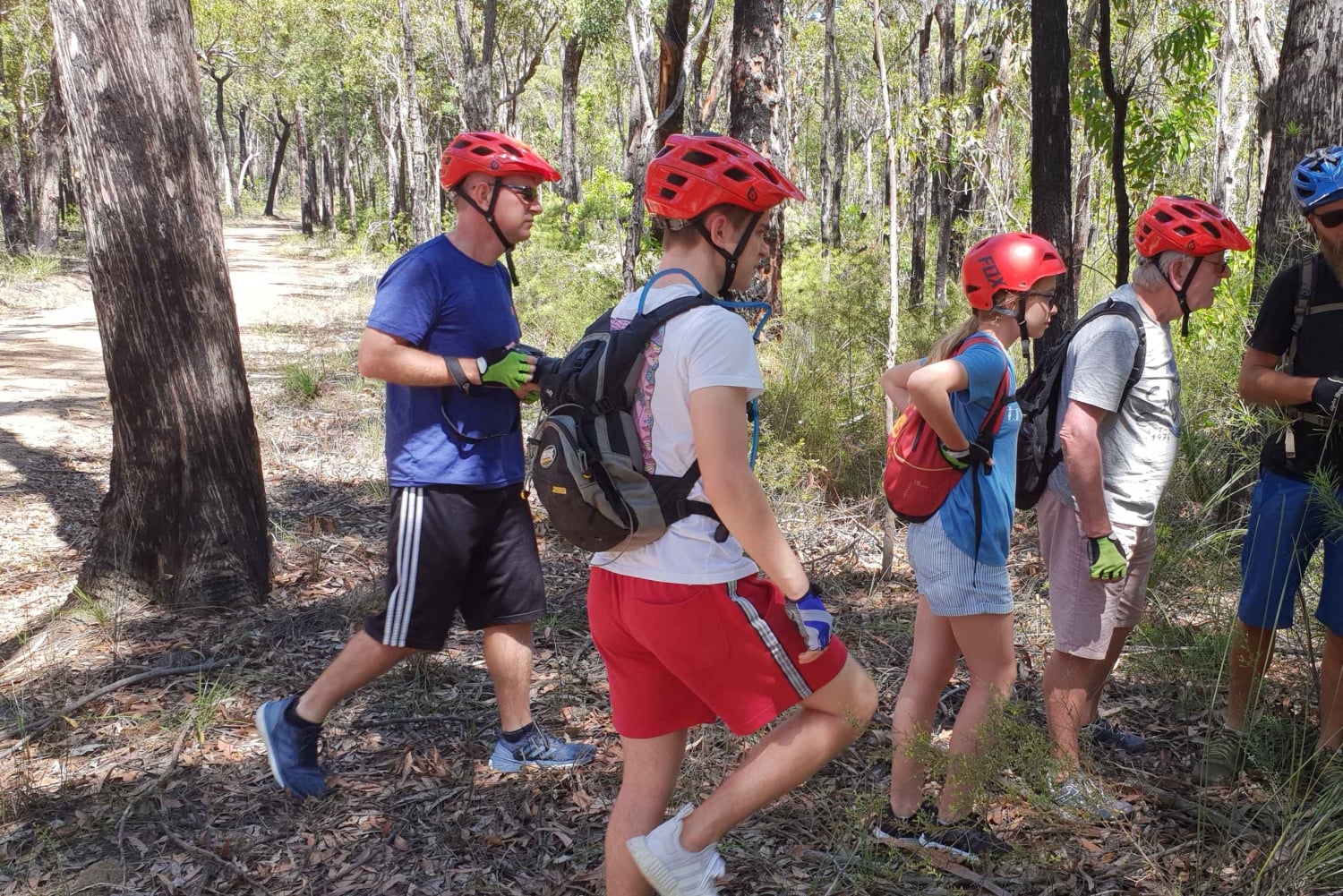 Blue Mountains: Blue Labyrinth: Opastettu vuoristopyöräretki, Blue Labyrinth