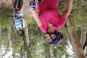 Blue Mountains: Guided Mountain e-Bike Tour, Blue Labyrinth