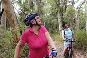 Blue Mountains: Blue Labyrinth: Opastettu vuoristopyöräretki, Blue Labyrinth