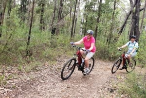Blue Mountains: Blue Labyrinth: Opastettu vuoristopyöräretki, Blue Labyrinth