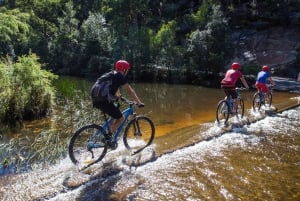 Blue Mountains: Blue Labyrinth: Opastettu vuoristopyöräretki, Blue Labyrinth
