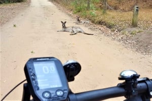 Blue Mountains: Blue Labyrinth: Opastettu vuoristopyöräretki, Blue Labyrinth