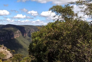 Blue Mountains: Im Inneren eines Welterbe-Nationalparks