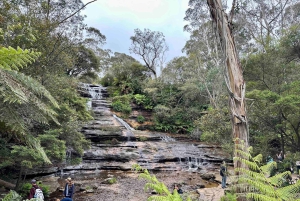 Blue Mountains: Im Inneren eines Welterbe-Nationalparks