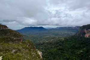 Blue Mountains: Im Inneren eines Welterbe-Nationalparks