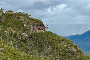 Blue Mountains: Im Inneren eines Welterbe-Nationalparks