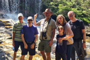 Blue Mountains: Im Inneren eines Welterbe-Nationalparks