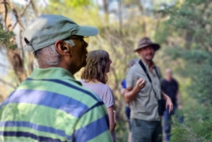 Blue Mountains: Im Inneren eines Welterbe-Nationalparks