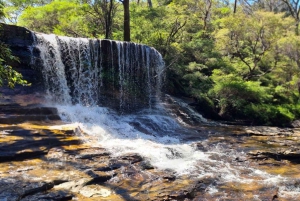 Blue Mountains: Im Inneren eines Welterbe-Nationalparks
