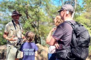 Blue Mountains: Im Inneren eines Welterbe-Nationalparks