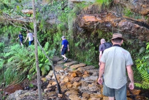 Blue Mountains: Im Inneren eines Welterbe-Nationalparks