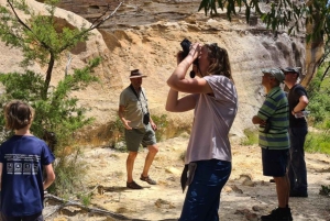 Blue Mountains: Im Inneren eines Welterbe-Nationalparks