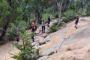 Blue Mountains: Im Inneren eines Welterbe-Nationalparks