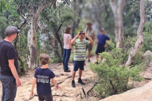 Blue Mountains: Im Inneren eines Welterbe-Nationalparks