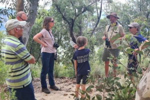 Blue Mountains: Im Inneren eines Welterbe-Nationalparks