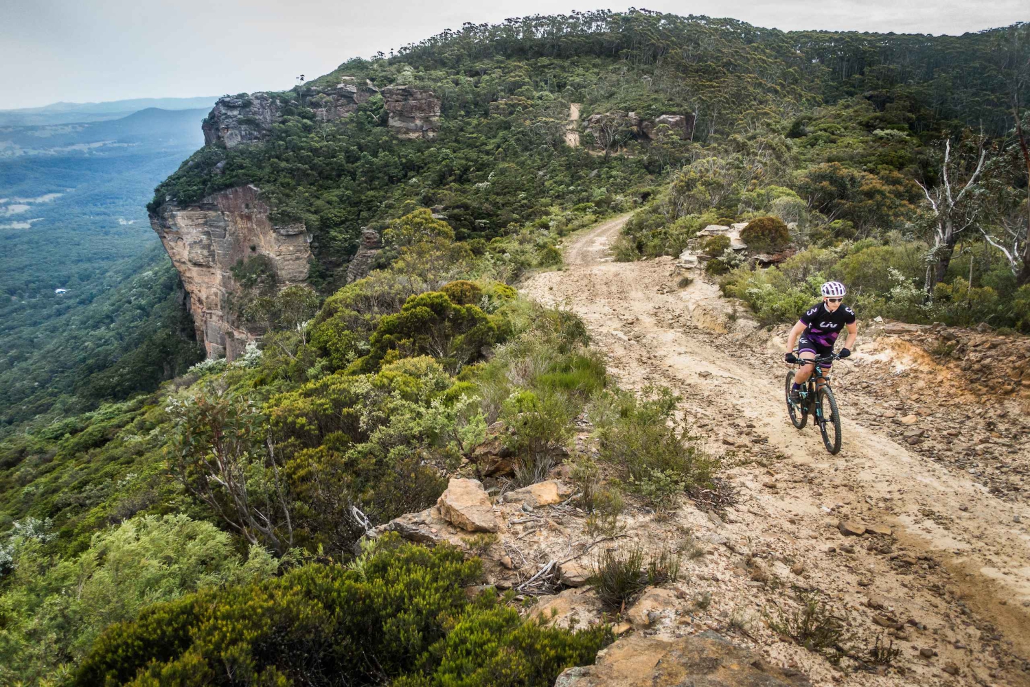 Blue Mountains: Mountainbiketour, Narrowneck Plateau