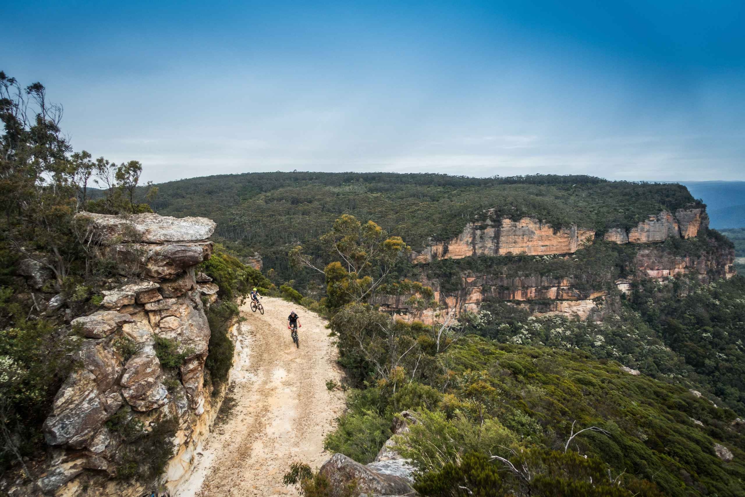 Blue Mountains: Mountainbiketour, Narrowneck Plateau