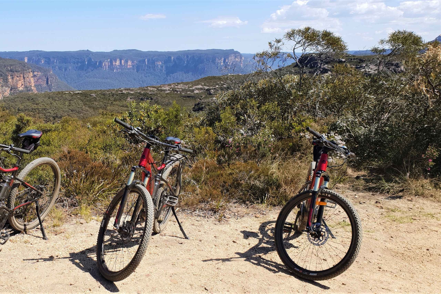 Blue Mountains: Mountainbiketour, Narrowneck Plateau