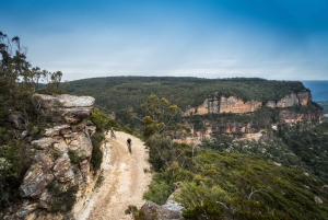 Blue Mountains: Mountainbiketour, Narrowneck Plateau