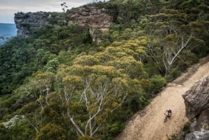 Blue Mountains: Mountainbiketour, Narrowneck Plateau