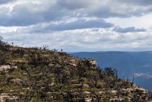 Blue Mountains: Mountainbiketour, Narrowneck Plateau
