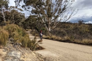 Blue Mountains: Mountainbiketour, Narrowneck Plateau