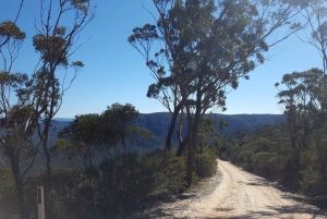Blue Mountains: Mountainbiketour, Narrowneck Plateau