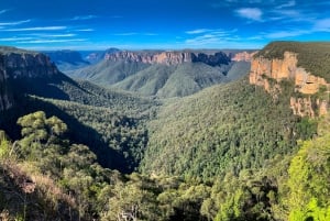 Blue Mountains Private Charter